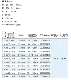 Blindnieten Aluminium/Stahl (Ø x L) 6,0 x 12,0 mm mit Flachkopf ISO15977 9005 schwarz - Flachkopf Niete - Popniete - RAINBOW STANDARD
