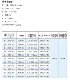 Blindnieten Aluminium/Stahl (Ø x L) 6,4 x 10,0 mm mit Flachkopf ISO15977 9010 weiß - Flachkopf Niete - Popniete - RAINBOW STANDARD