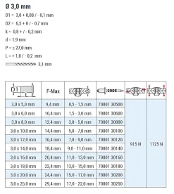 Blindnieten Stahl/Stahl (Ø x L) 3,0 x 12,0 mm mit Flachkopf ISO15979 - Flachkopf Niete - Popniete - STANDARD