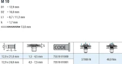 Blindnietmutter - Nietmutter - M10 Stahl verzinkt (Ø x L) 12,9 mm x 24,0 mm Senkkopf Rundschaft gerändelt mit Unterkopfverzahnung Schaftende offen Einziehmutter Einnietmuttern - GO-NUT