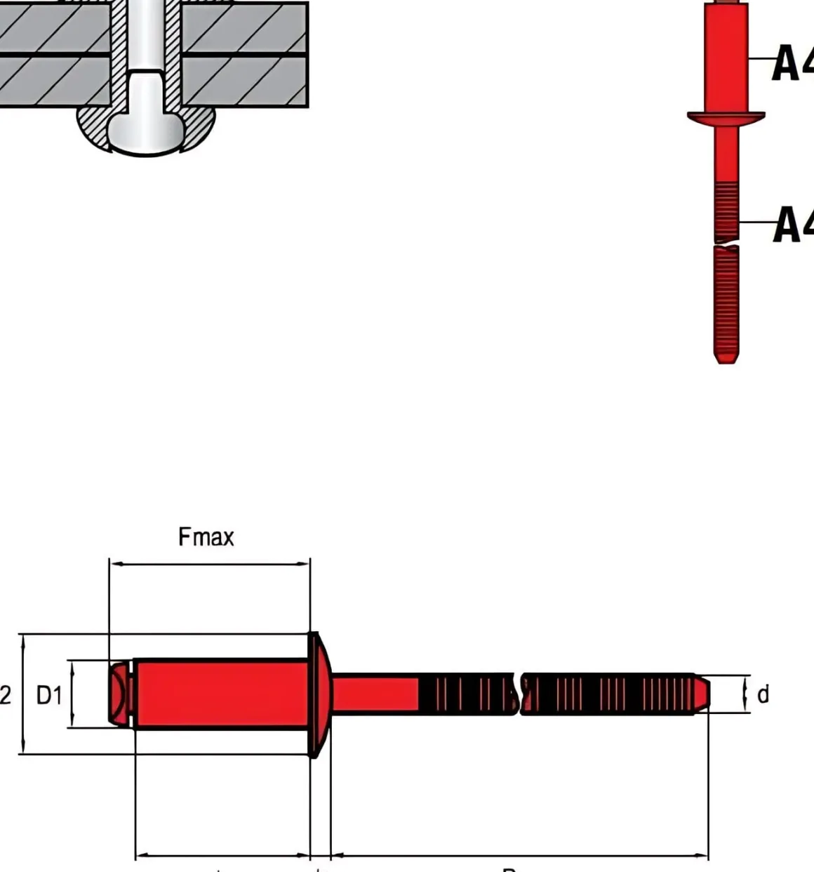 Flachkopf Nieten mit gerilltem Nietdorn Edelstahl A4/Edelstahl A4 (Ø x L) 4,0 x 13,0 mm mit Flachkopf - Flachkopf Niete mit gerilltem Nietdorn - Popniete - STANDARD