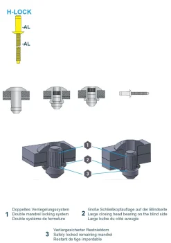Hochfeste Blindnieten Stahl/Stahl (Ø x L) 6,4 x 19,0 mm mit Flachkopf - Niete mit gerilltem Nietdorn - Hochfeste Nieten - H-LOCK